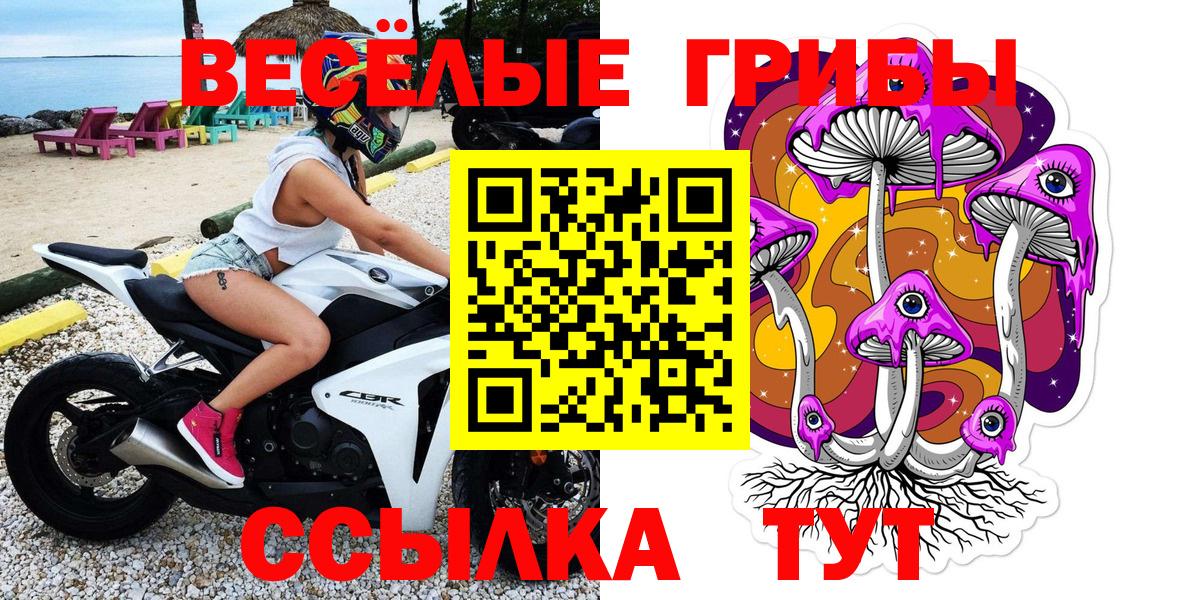 Галлюциногенные грибы мицелий  где купить наркотик  Псилоцибиновые грибы MAGIC MUSHROOMS  Воронеж  Вход с VPN 